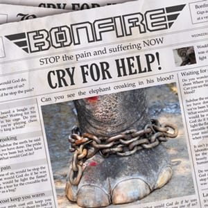 Bonfire – Cry 4 Help