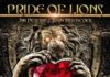 Pride Of Lions Lion Heart